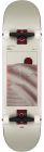 Globe G2 Skateboard Parallel 8"